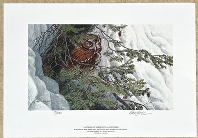 Winter Refuge – Screech Owl by Marc Barrie