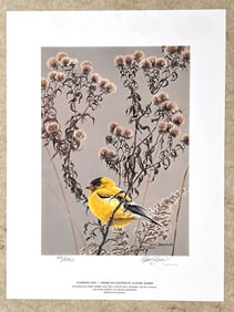 Summer's End – American Goldfinch by Marc Barrie