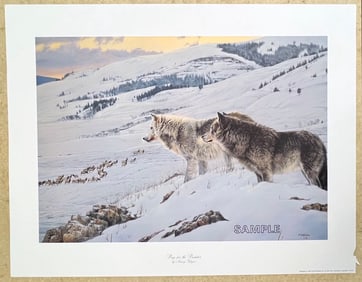 Prey for the Predator by Nancy Glazier