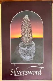 Silversword by J.K. Jenkins