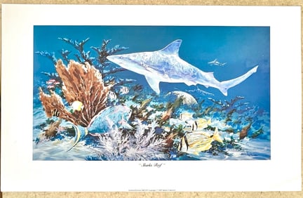 Sharks Reef by Barry Barnett