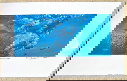 Renewed Hope by Barry Barnett