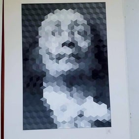 YVARAL, Faces of Dali aka John Piere Vasarely
