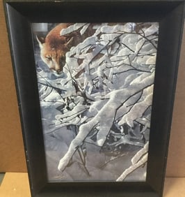 Silence in the Shadows Cougar by Collin Bogle