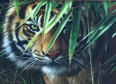 Silence in the Shadows Cougar by Collin Bogle