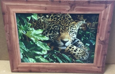 A Golden Moment by Collin Bogle