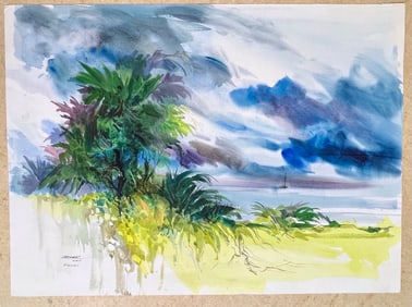 East Side of Kauai by Checker