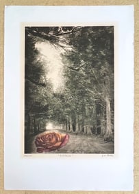 Solitude by G.H. Rothe
