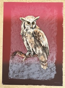 Owl by P Enuto