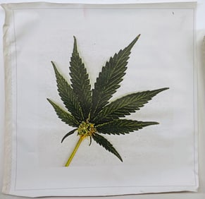 Marijuana Leaf by Steve Kaufman