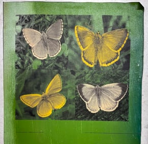 Butterfly 4 Panel by Steve Kaufman