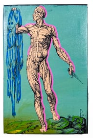 Dissected Cadaver, V de Amusco by Steve Kaufman