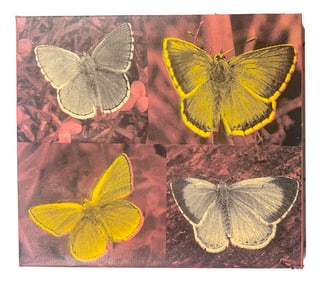 4 Panel Butterfly by Steve Kaufman