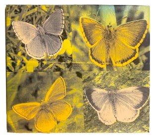4 Panel Butterfly by Steve Kaufman