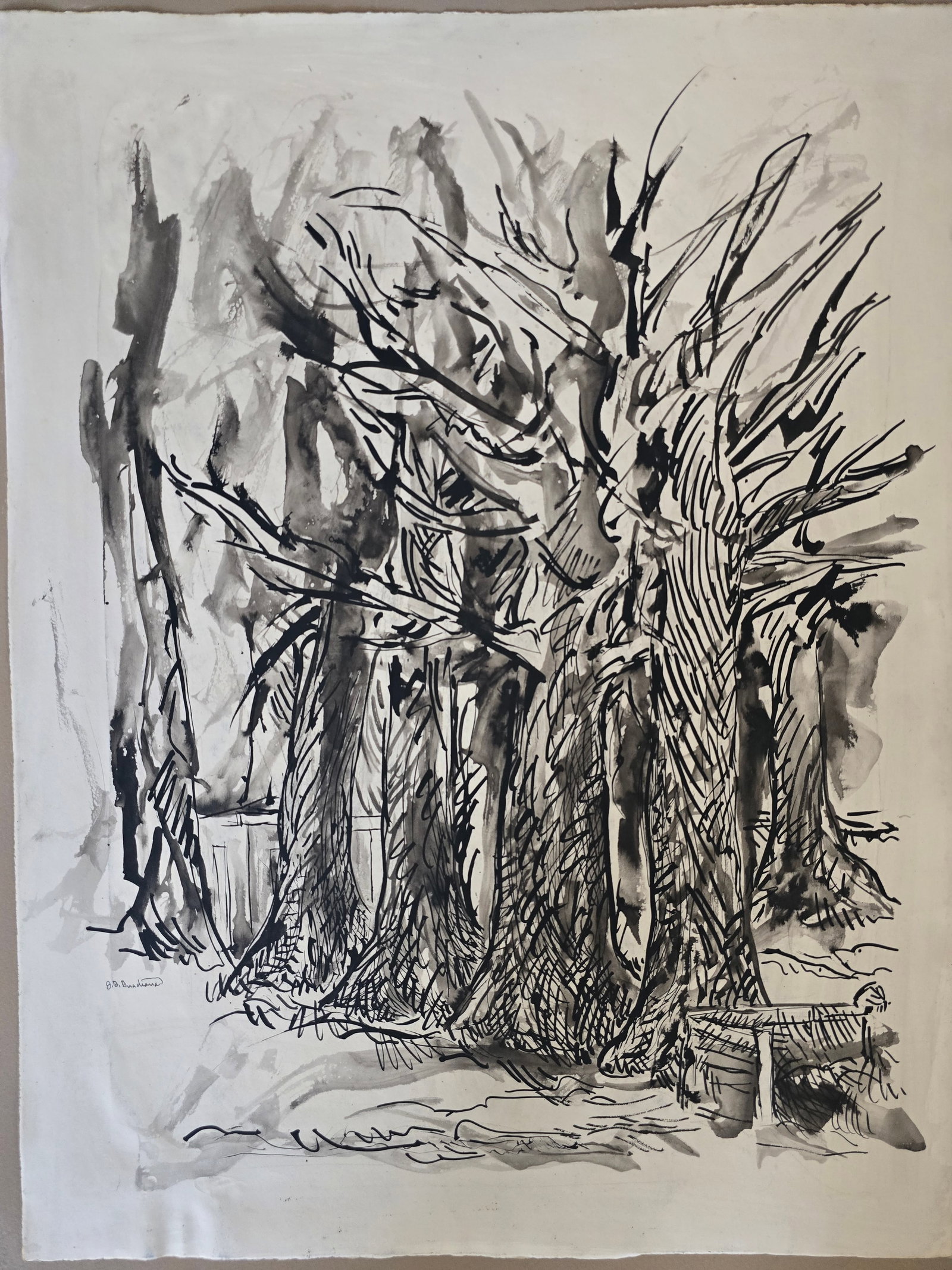 Twisted Trees by José Guadiana: A large original ink and wash drawing by the renowned Texas artist José Guadiana, executed on heavy, expensive watercolor paper.This bold, energetic composition captures a dense stand of trees and