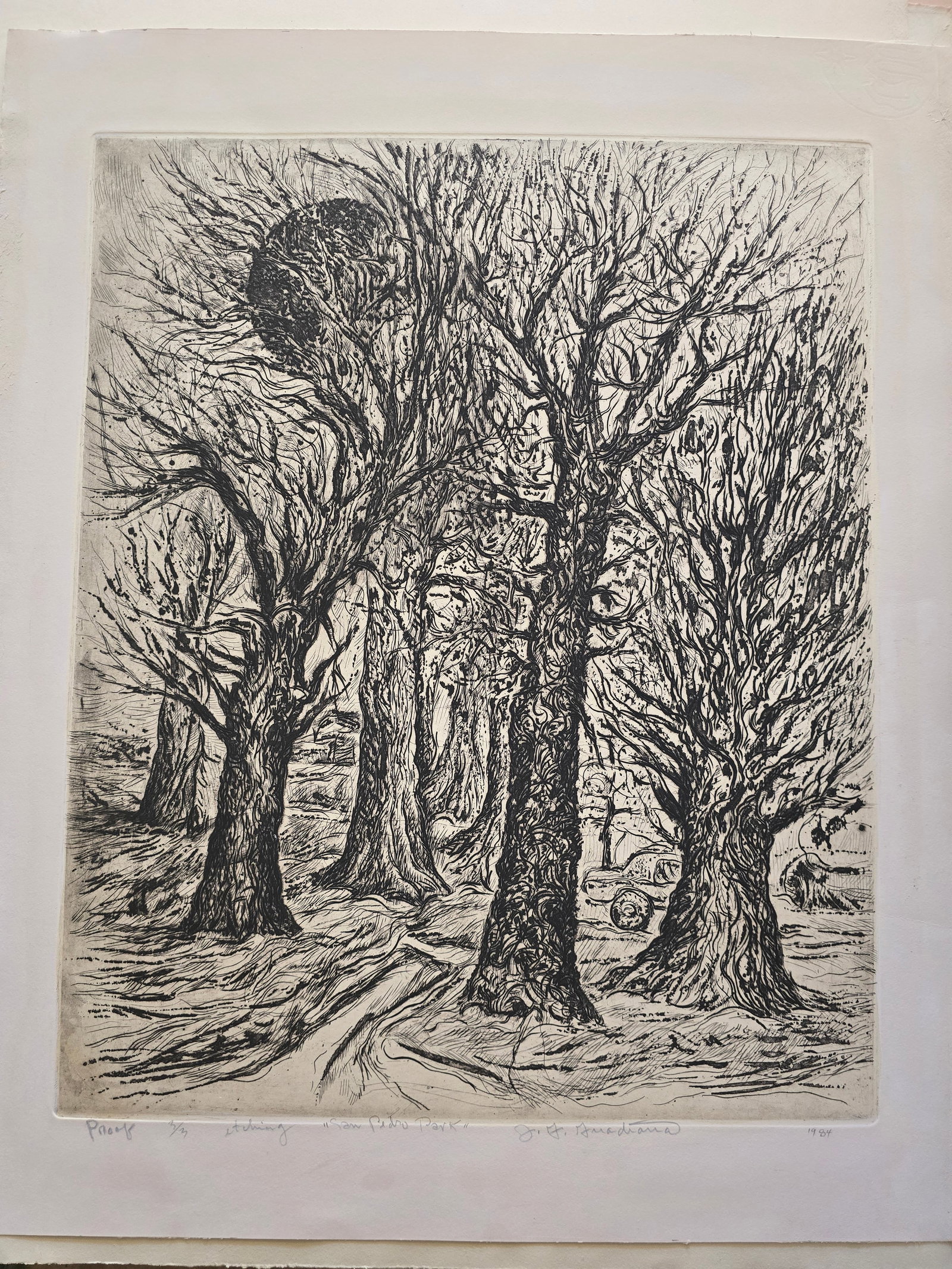 San Pedro Park – Etching, 1984: An original etching by the renowned Texas artist José Guadiana, dated 1984.This powerful landscape captures a stand of ancient, windswept trees in San Pedro Park, their twisted branches reaching dram