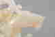item-118437190=9