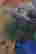 item-118437239=4