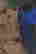 item-118437239=5