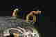 item-128278965=3