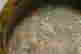 item-128279032=6