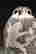 item-128279132=4