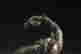 item-128279526=6