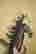 item-130280866=2