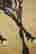 item-130280866=5