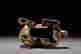 item-130280873=7