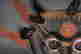 item-131680360=4