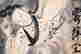 item-131680424=5
