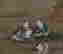 item-131680426=2