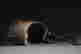 item-131680526=12