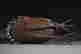 item-131680526=14
