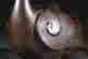 item-131680526=4