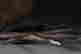 item-131680526=9