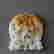 item-131680557=4