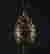 item-131680567=10