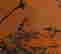 item-133995973=2