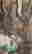 item-133996029=4