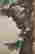 item-133996029=6