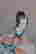 item-133996175=5