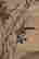 item-133996178=4