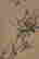 item-133996178=5