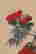 item-133996185=4