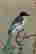 item-133996190=9