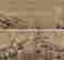 item-136406632=3
