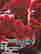 item-137503356=6