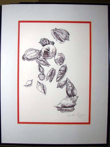 Set of four framed etchings shell specimens.: Set of four framed etchings shell specimens Nomi Rain Friedman, dated 1982.(Showing one of a set of four.) H - 24.5 x 19.5". Custom matted and framed under glass, signed and numbered on the lower marg